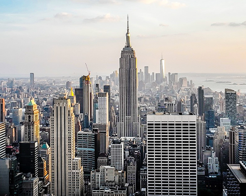 Everest Buddha Education Consultancy